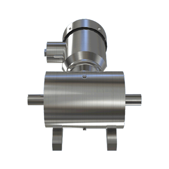 custom motor
